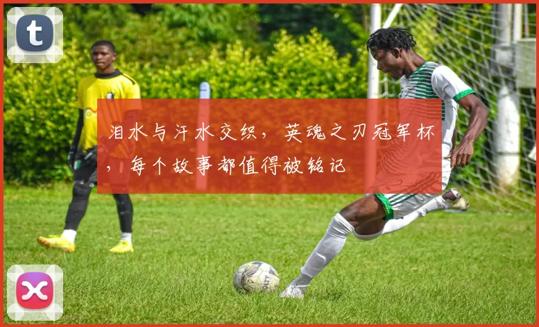 泪水与汗水交织，英魂之刃冠军杯，每个故事都值得被铭记