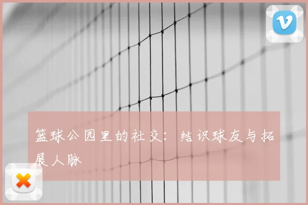 篮球公园里的社交：结识球友与拓展人脉