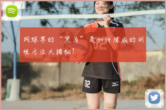 网球界的“黑马”是如何炼成的训练方法大揭秘!